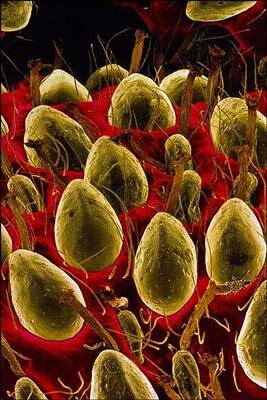 تصاویری از غیرقابل مشاهدهترین بخشهای زندگی