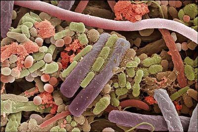 تصاویری از غیرقابل مشاهدهترین بخشهای زندگی