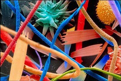 تصاویری از غیرقابل مشاهدهترین بخشهای زندگی