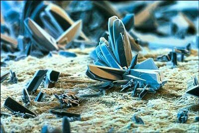 تصاویری از غیرقابل مشاهدهترین بخشهای زندگی