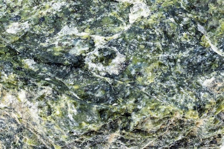 کشف این میکروب منحصربهفرد منشأ ایجاد زندگی را روشن میکند