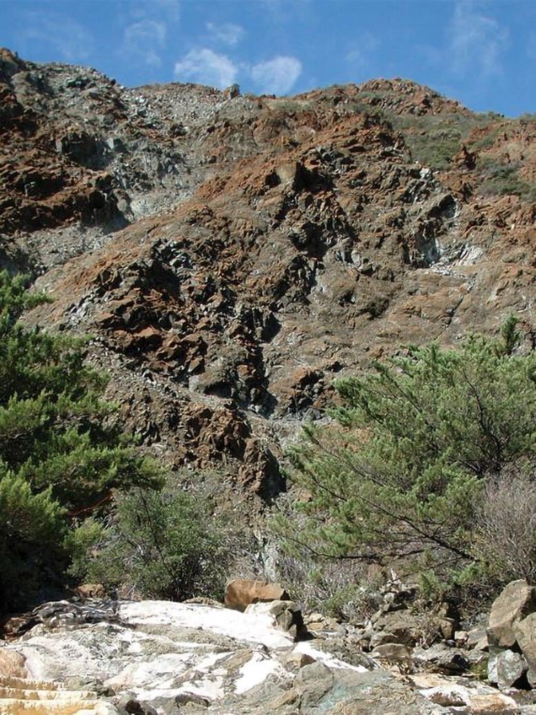 کشف این میکروب منحصربهفرد منشأ ایجاد زندگی را روشن میکند