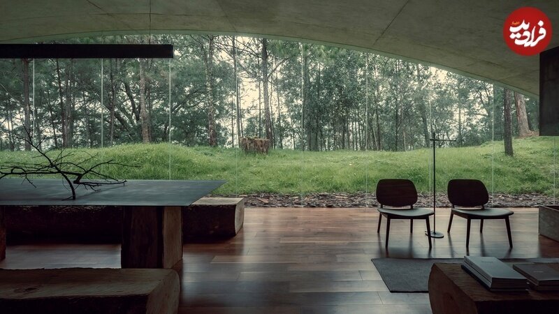 معماری منحصربهفرد برای حفظ یک درخت در خانه زیرزمینی جنگلی + تصاویر معماری منحصربهفرد برای حفظ یک درخت در خانه زیرزمینی جنگلی + تصاویر