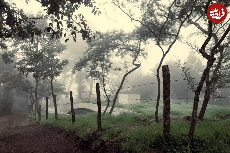 معماری منحصربهفرد برای حفظ یک درخت در خانه زیرزمینی جنگلی + تصاویر معماری منحصربهفرد برای حفظ یک درخت در خانه زیرزمینی جنگلی + تصاویر