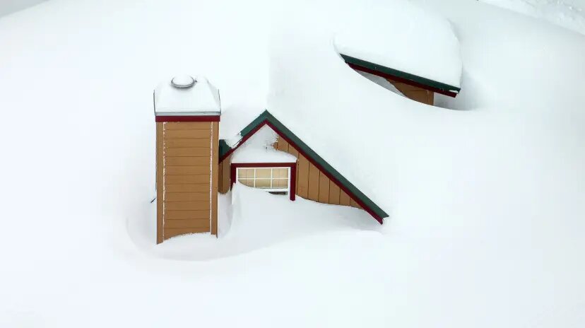 عکسهای عجیب و دیدنی سال ۲۰۲۴ به انتخاب «تایم» | احساستان را از دیدن این عکسها با دیگران به اشتراک بگذارید