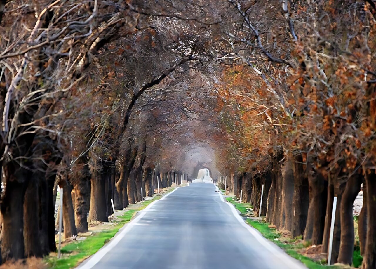 روستاگردی از تجره تاخاوه