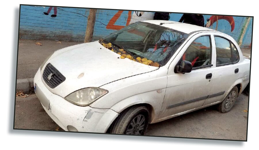 قتل فجیع کارمند کنسولگری در مشهد | جنایت هولناک یک دختر برای رسیدن به ثروت | کشف جسد مثلهشده درون خودرو