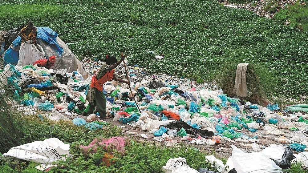 آلودگی کیسه پلاستیکی | شهرداریها کیسه یک بار مصرف را ممنوع میکنند