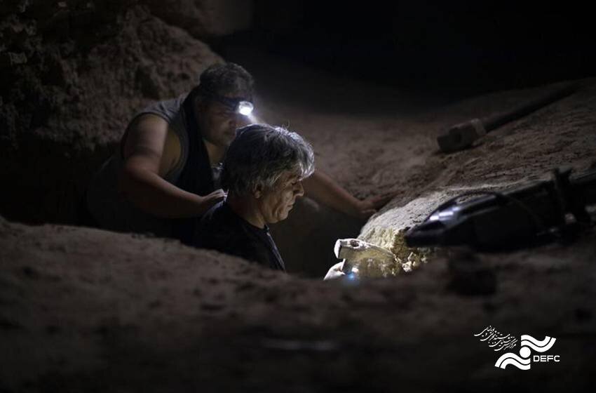 استقبال از مستندهایی درباره یک هنرمند، یک زن و یک گروه گنجیاب در جشنواره سینماحقیقت