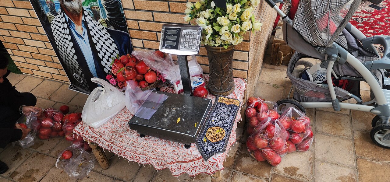 هدیه خاص یک باغدار به جبهه مقاومت | با انار هم میتوان به جنگ با اسرائیل رفت