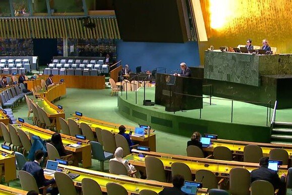 ایروانی در سازمان ملل