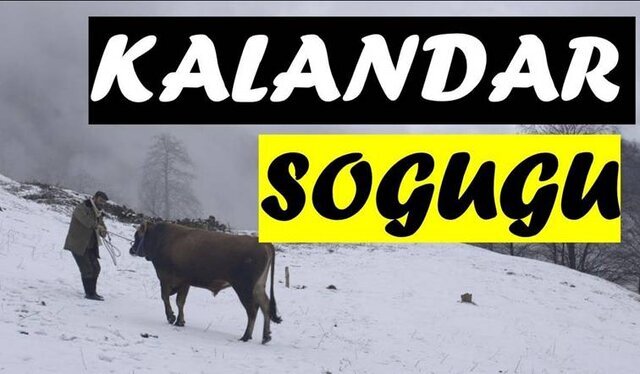 چه فیلم و سریالهایی به تازگی برای تلویزیون دوبله شدند