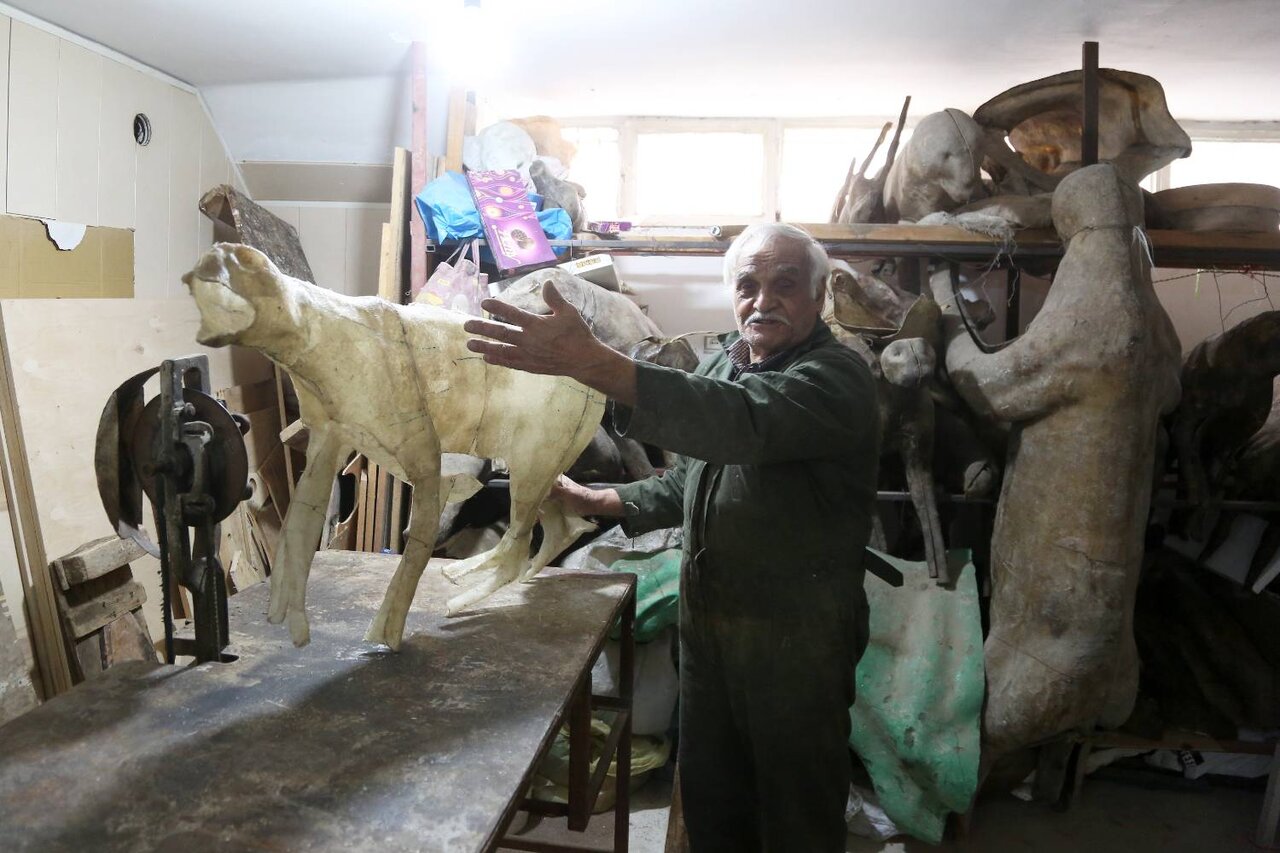 حیوانات اینطور تاکسیدرمی می شوند (تصاویر)