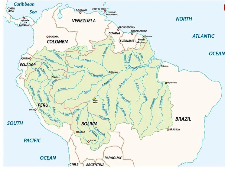 دلیل اینکه رودخانه آمازون «پل» ندارد، چیست؟