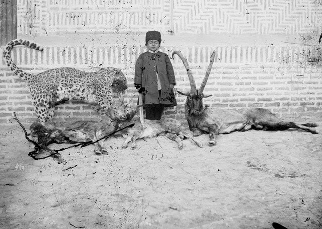 به جستجوی پلنگ در دوردستترین قله توچال