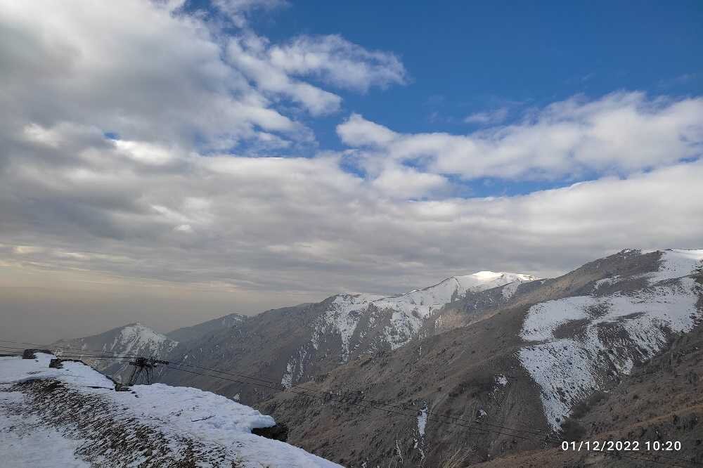 حکایت رویش قارچ در قلههای شمیران