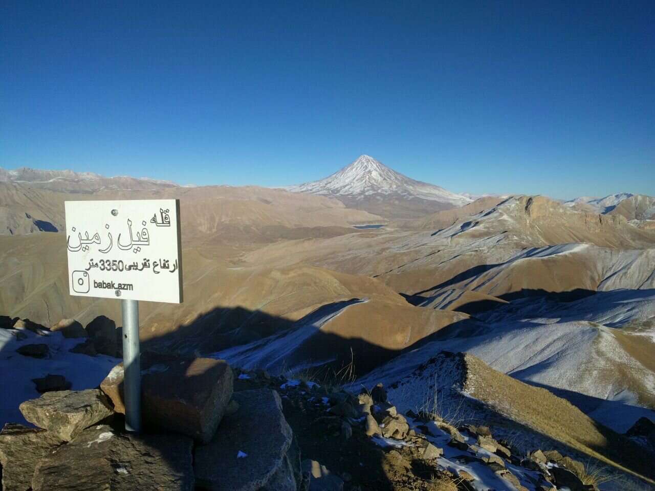 قصه فیلی که در شمال تهران زندگی می‌کند!