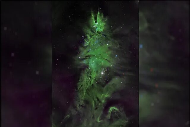 این ستارهها شکل درخت کریسمس شدهاند!