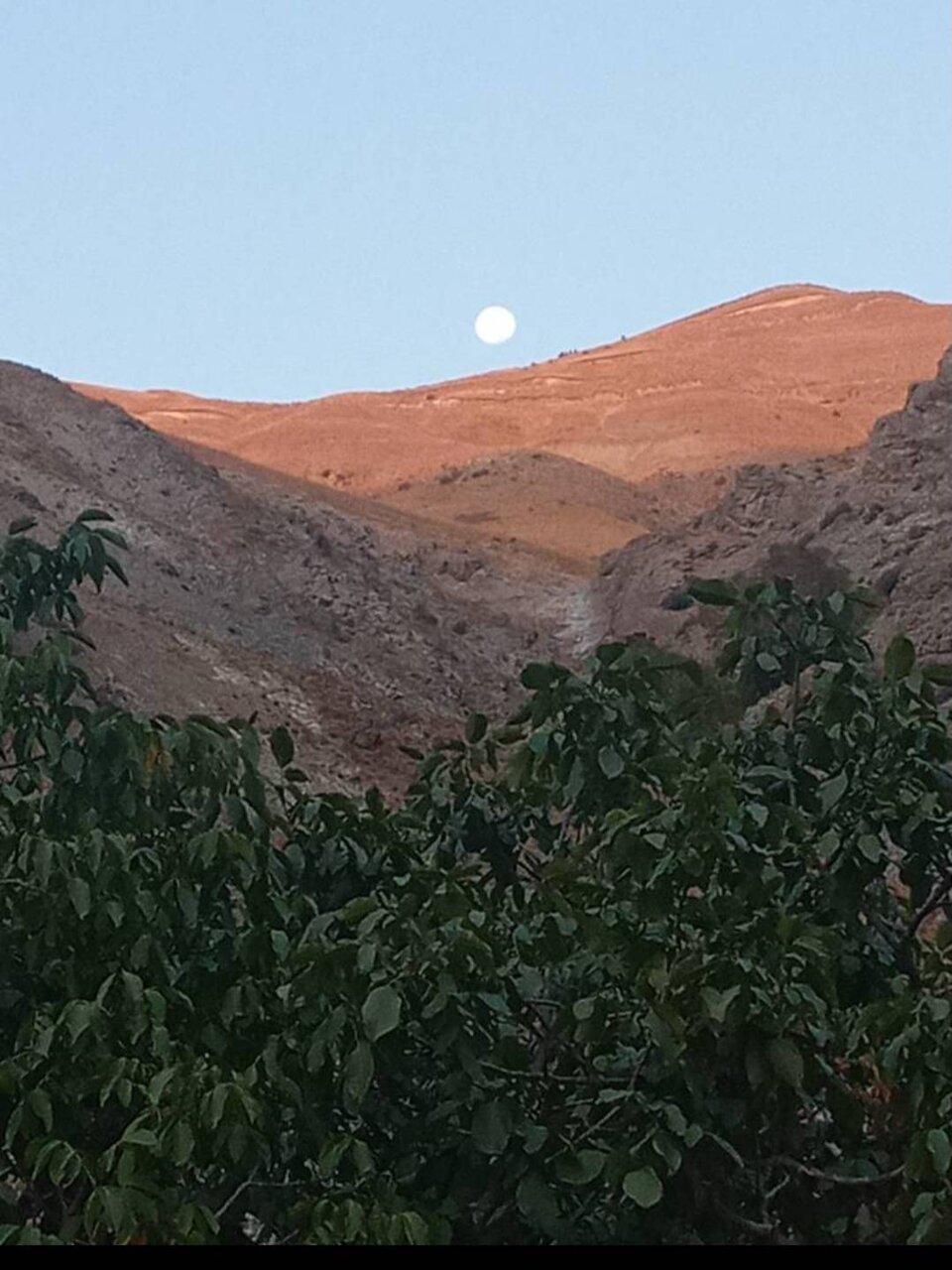 اینجا قبض روح می‌شوید!