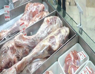 چرا واردات گوشت بوفالوی هندی به کشور مجاز شد؟ | مصرف آن برای خانوار مجاز است؟