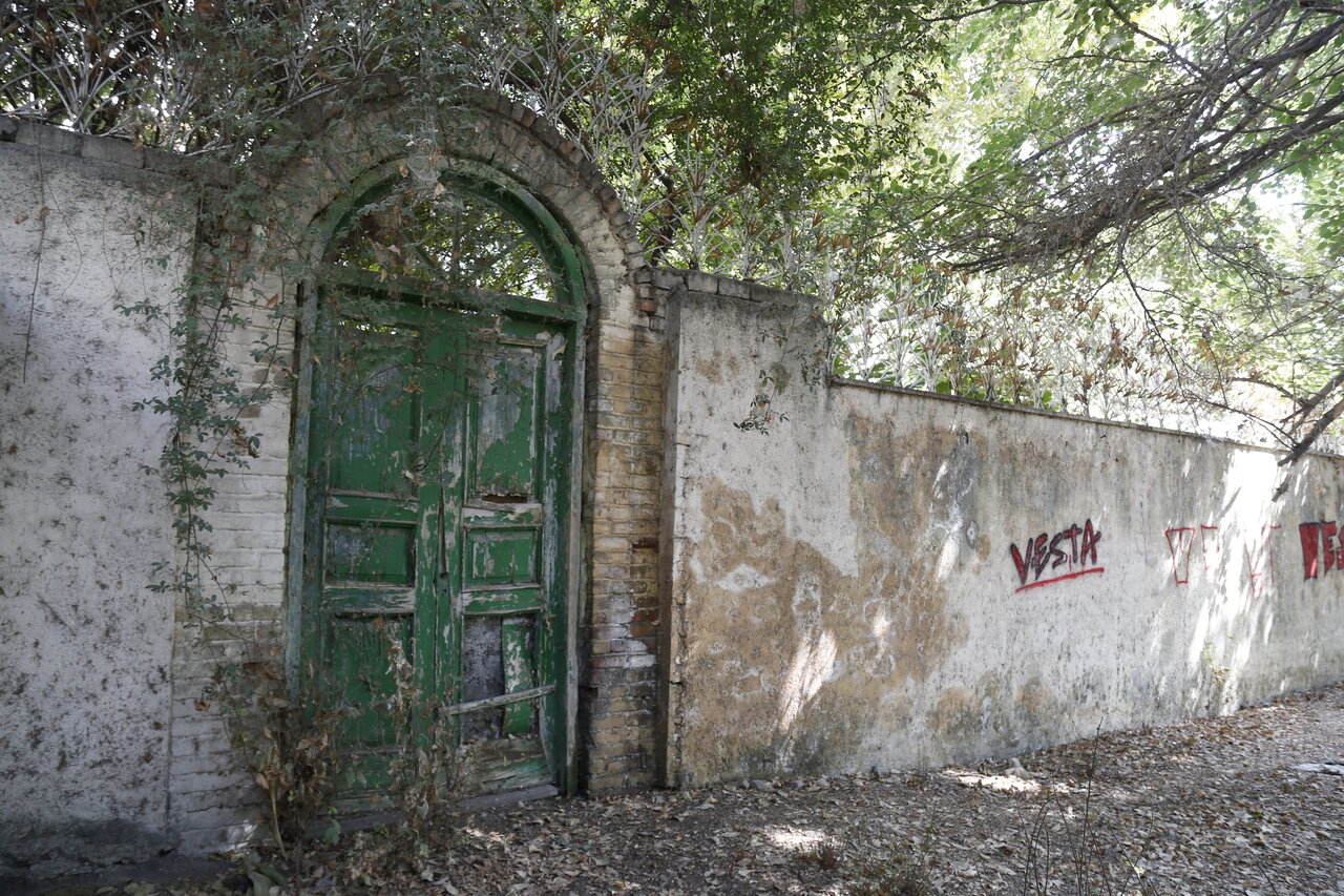 پونهزاری به نام پونک