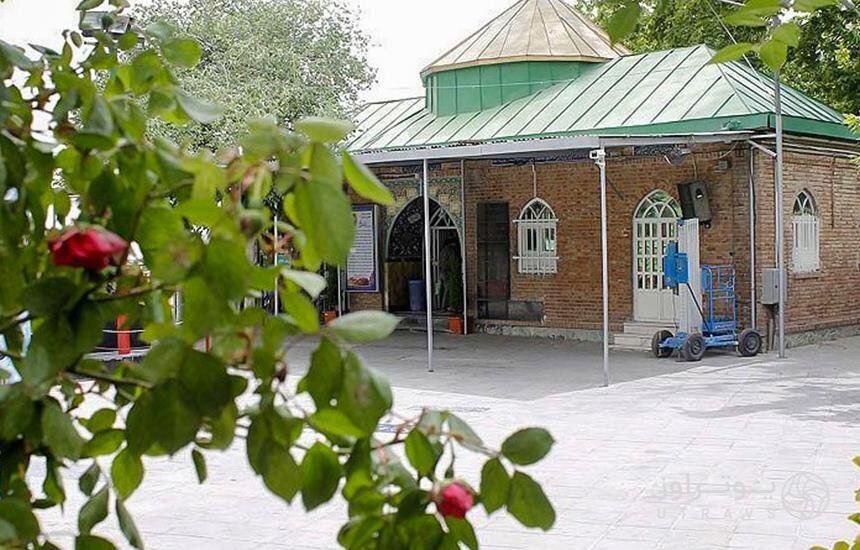 پونهزاری به نام پونک