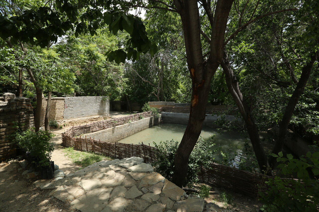 چرا بیشتر غذای نذری فرحزادیها خورش فسنجان بود؟