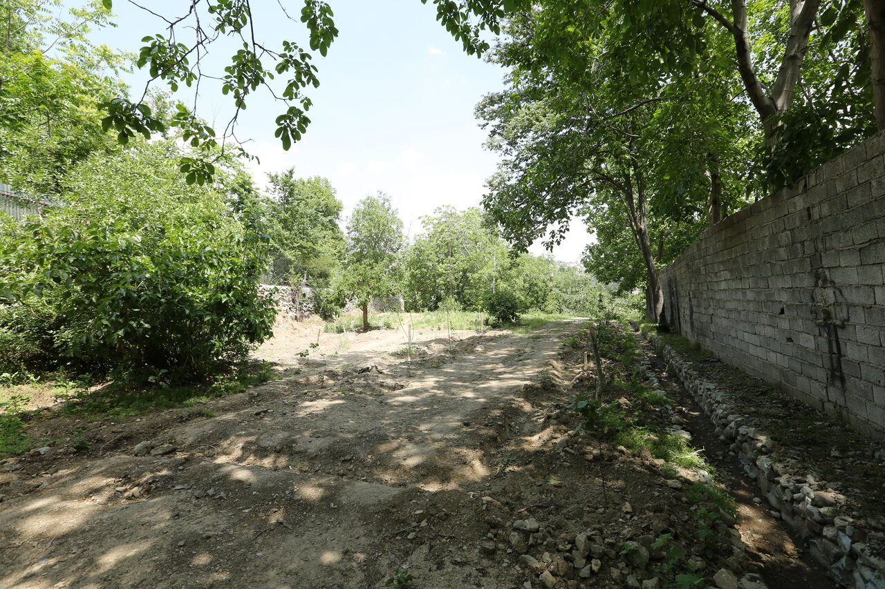 چرا بیشتر غذای نذری فرحزادیها خورش فسنجان بود؟