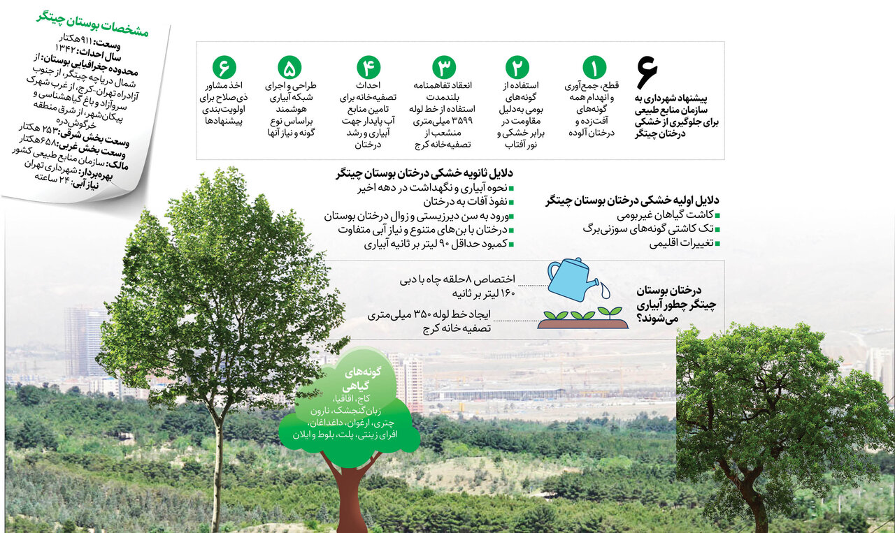 درختان چیتگر زنده میمانند