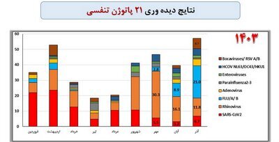 ۳ ویروس خطرناک در صدر عوامل بیماریهای تنفسی ایرانیها + نمودار