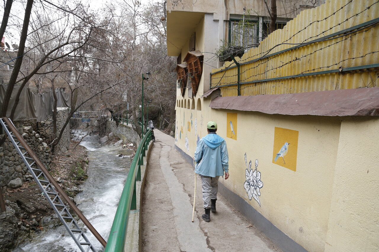 گذرهایی با خانههای کاهگلی و چنارهای تاریخی