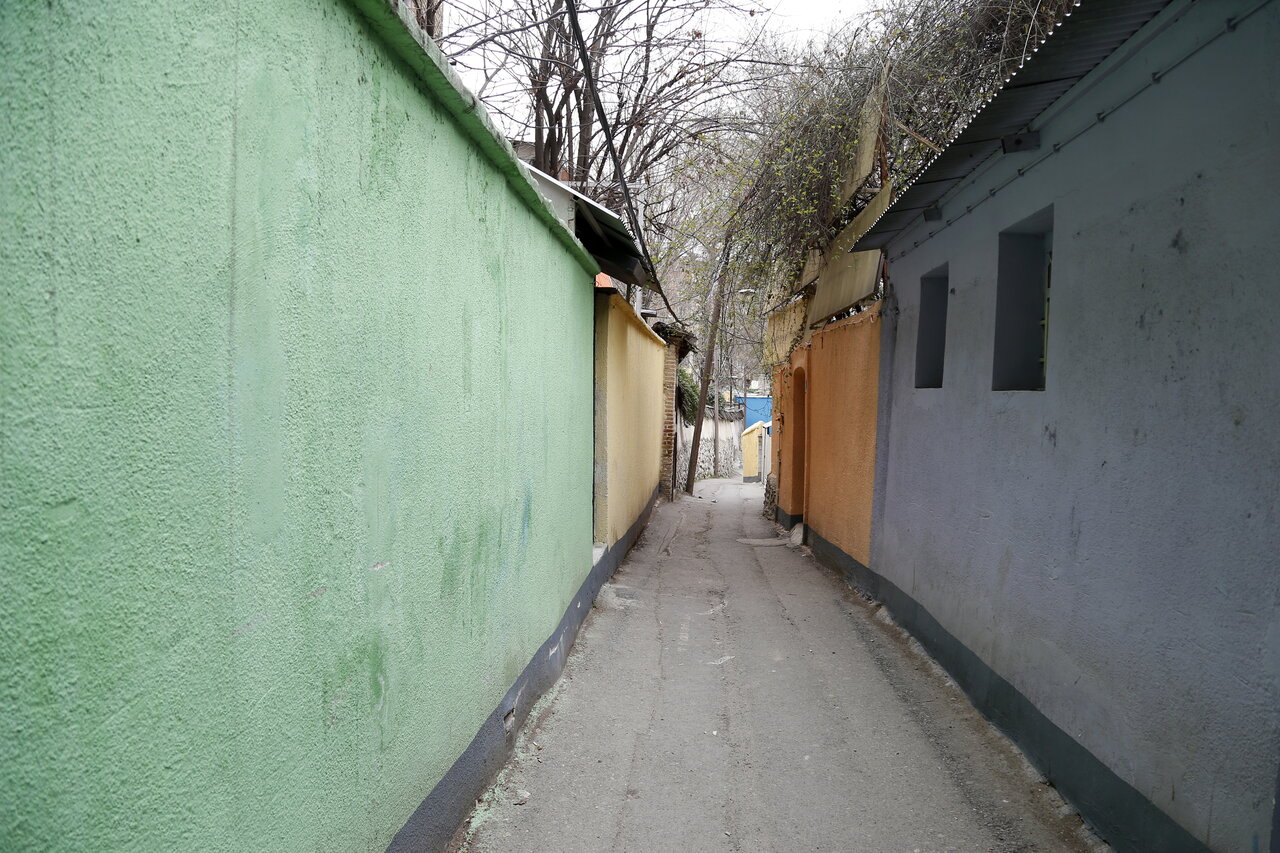 گذرهایی با خانههای کاهگلی و چنارهای تاریخی