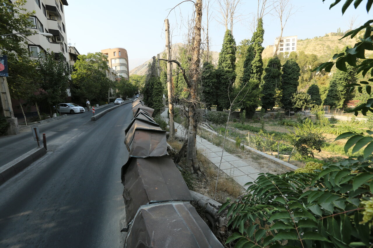 گذرهایی با خانههای کاهگلی و چنارهای تاریخی