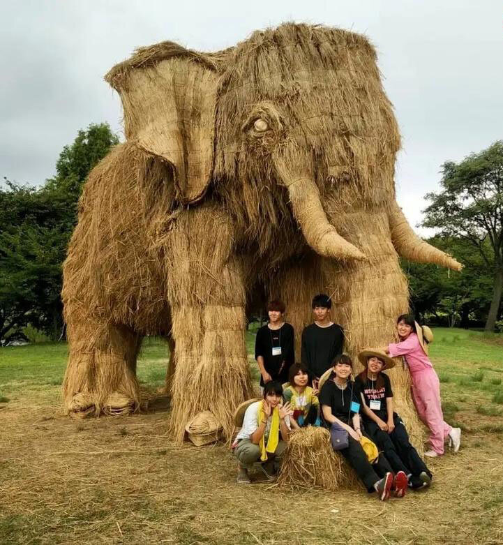 خلاقیت و هنر در باغوحش هیولاهای «حصیری»! | تصاویر