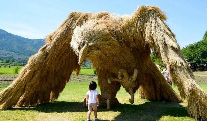 خلاقیت و هنر در باغوحش هیولاهای «حصیری»! | تصاویر