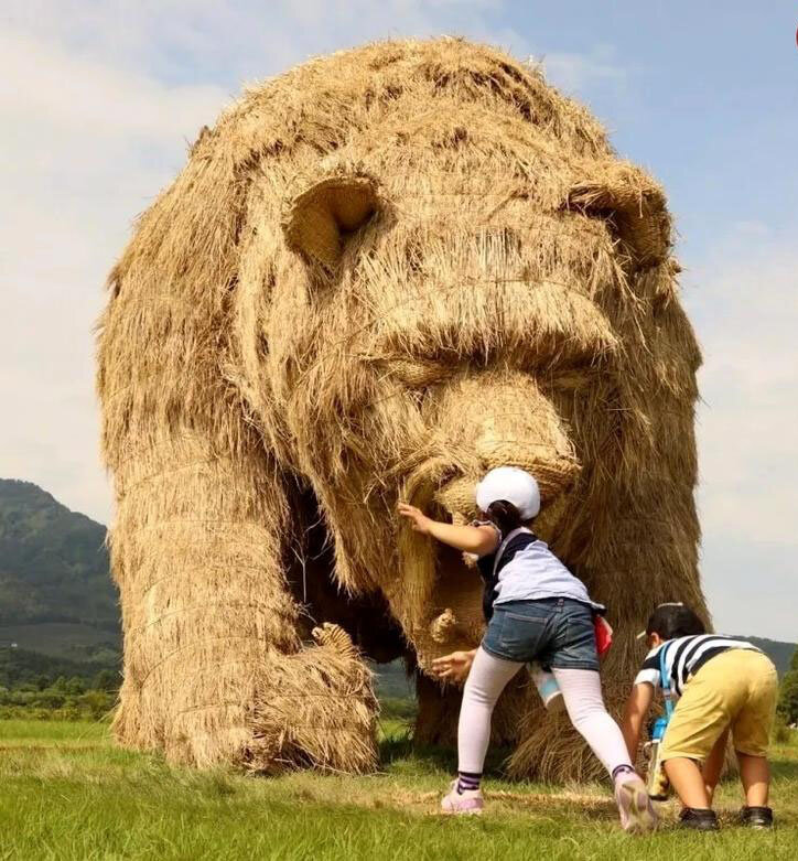 خلاقیت و هنر در باغوحش هیولاهای «حصیری»! | تصاویر