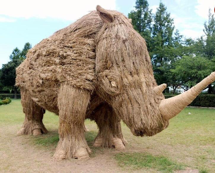 خلاقیت و هنر در باغوحش هیولاهای «حصیری»! | تصاویر