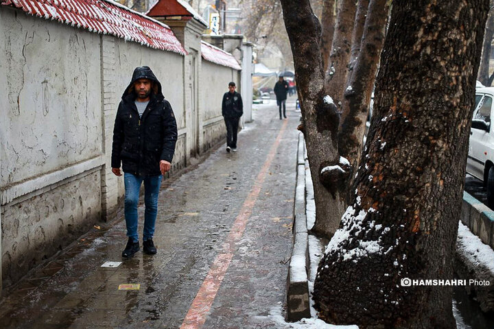 تصاویر بارش برف در شمال تهران