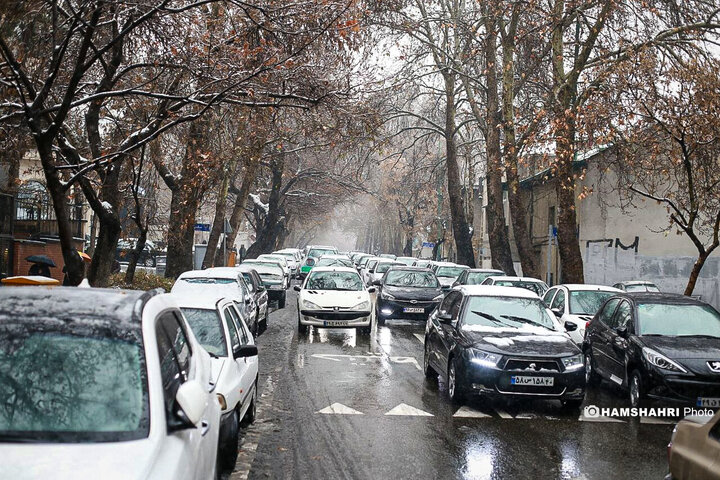 تصاویر بارش برف در شمال تهران