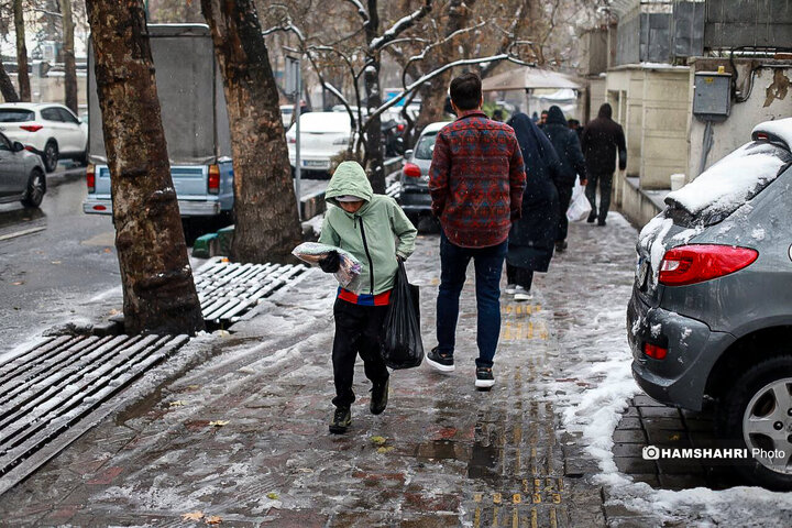 تصاویر بارش برف در شمال تهران