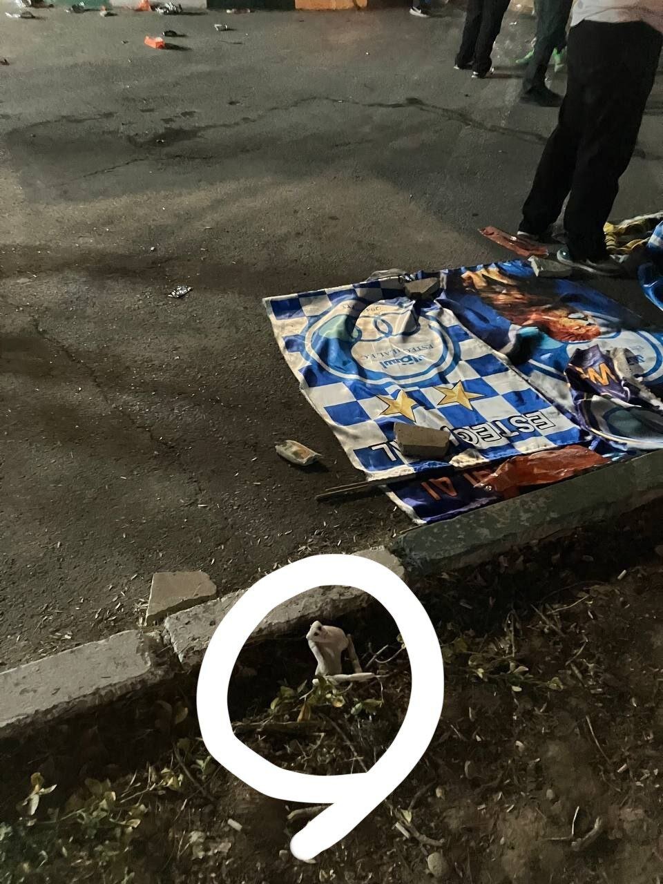 آیا بهرنگ علوی به ویلای ارواح کلاردشت میرود؟ ؛ اصل ماجرای عروسک ترسناک | عکس و فیلم