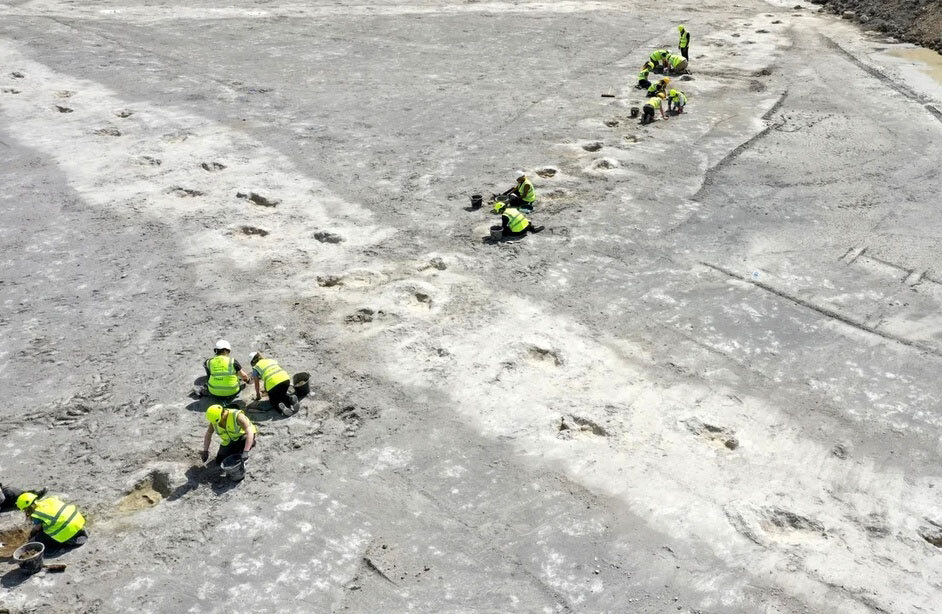 از زیر خاک بیرون آمدن «اتوبان دایناسورها» بعد از ۱۶۶ میلیون سال | تصاویر