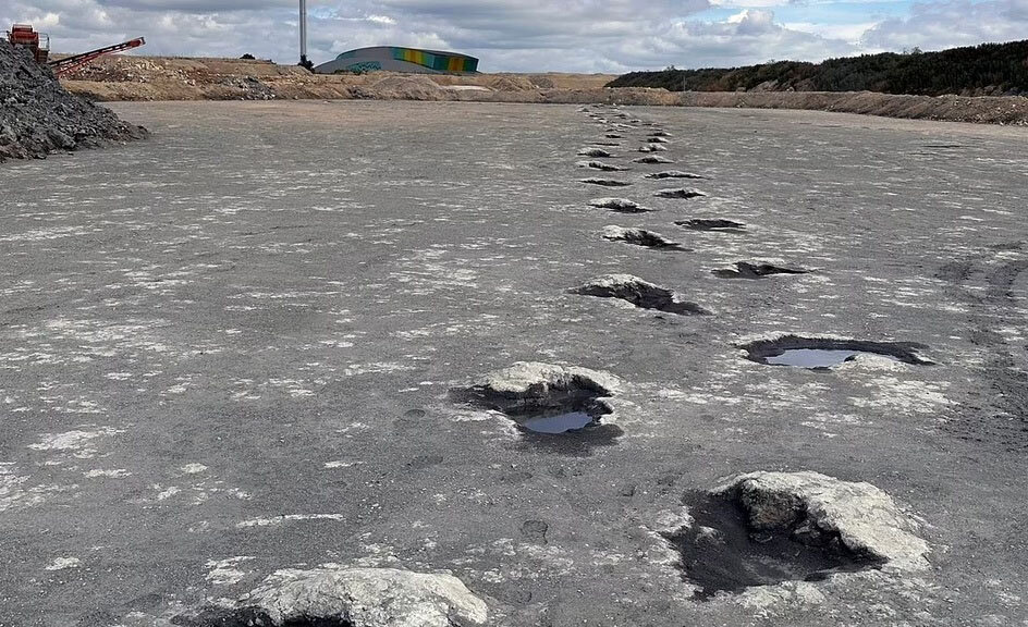 از زیر خاک بیرون آمدن «اتوبان دایناسورها» بعد از ۱۶۶ میلیون سال | تصاویر