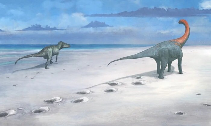 از زیر خاک بیرون آمدن «اتوبان دایناسورها» بعد از ۱۶۶ میلیون سال | تصاویر