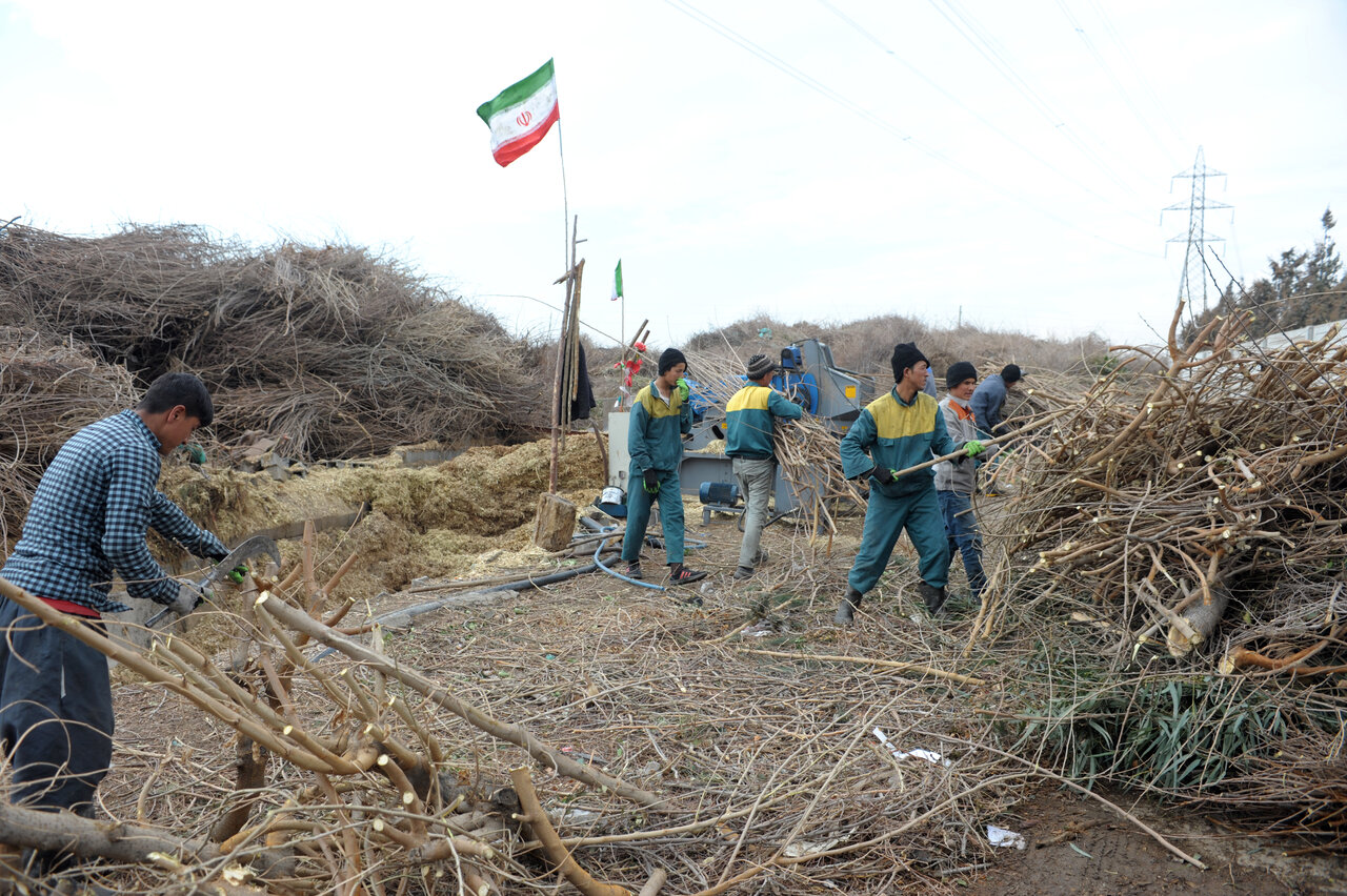 در مرکز پسماند متفاوت شهرداری تهران چه میگذرد؟ | بوی خوش پسماند