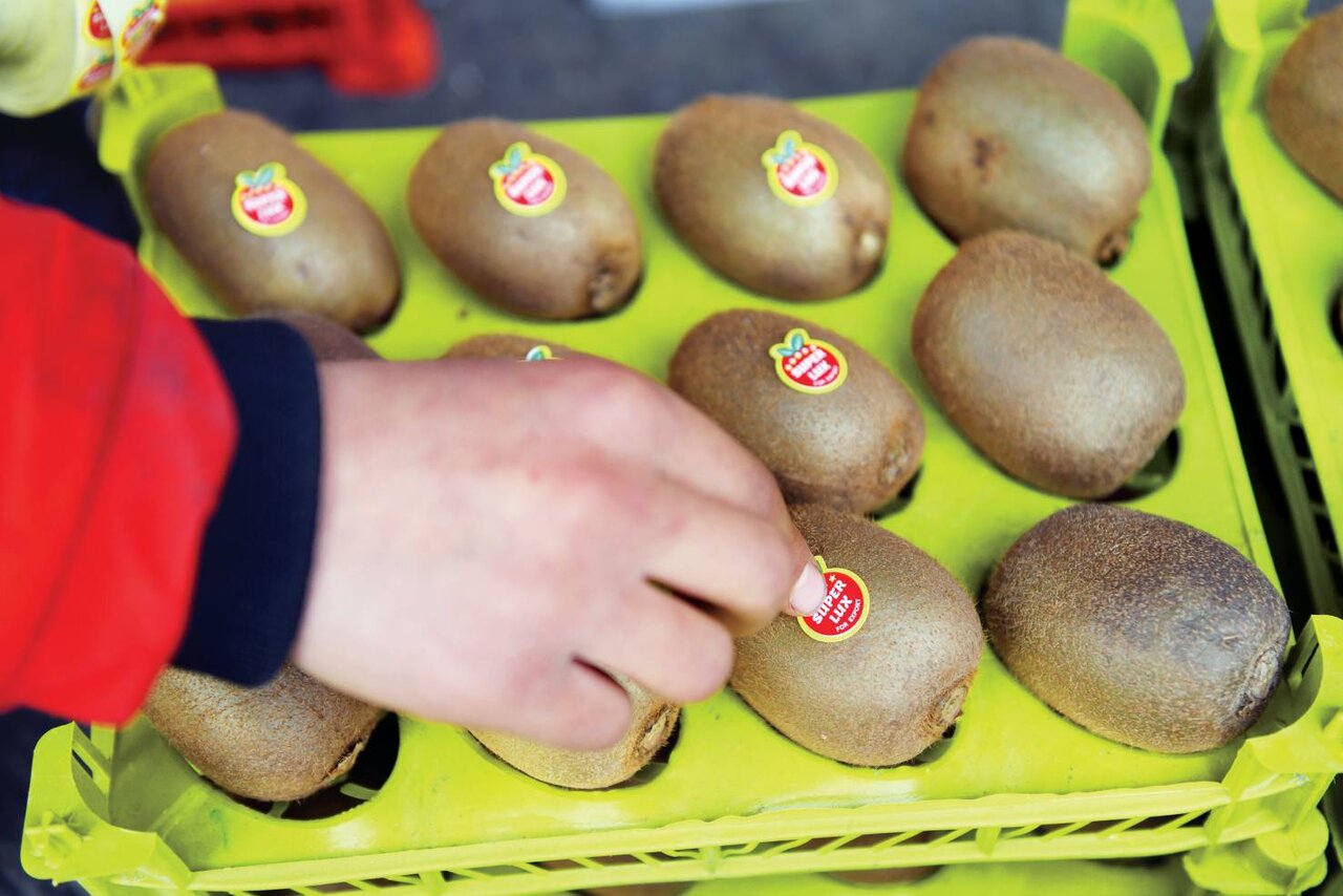 کار ما برچسبزدن است