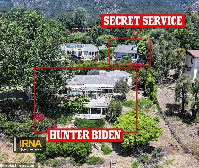 خانه پسر بایدن در آتش سوزی کالیفرنیا سوخت | تصاویر