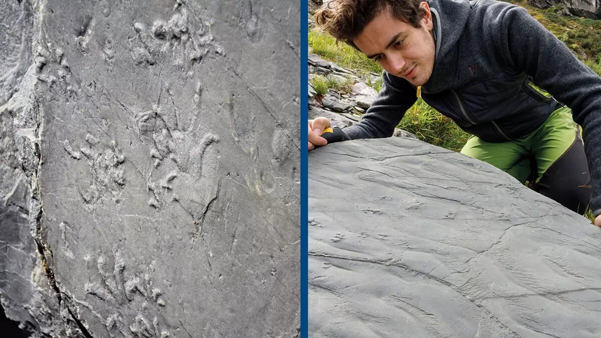 ثبت قطرات باران و ردپای حیوانات پیش از دایناسورها در ایتالیا