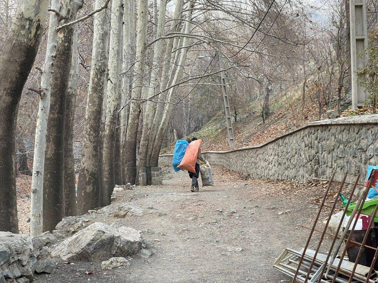 شهردار کوهستان