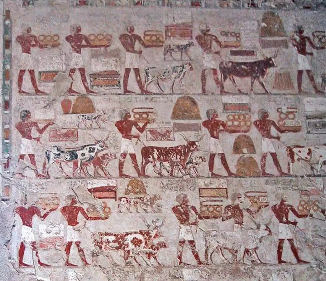 توتمس سوم | بزرگترین فرمانده نظامی تاریخ مصر باستان